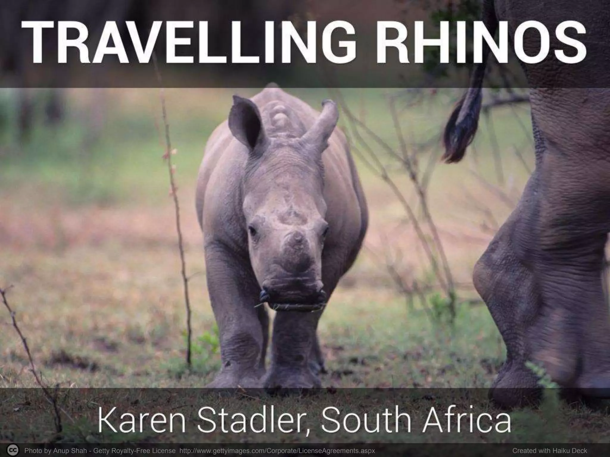 Photo by Anup Shah - Getty Royalty-Free License http://www.gettyimages.com/Corporate/LicenseAgreements.aspx Created with Haiku Deck 
 