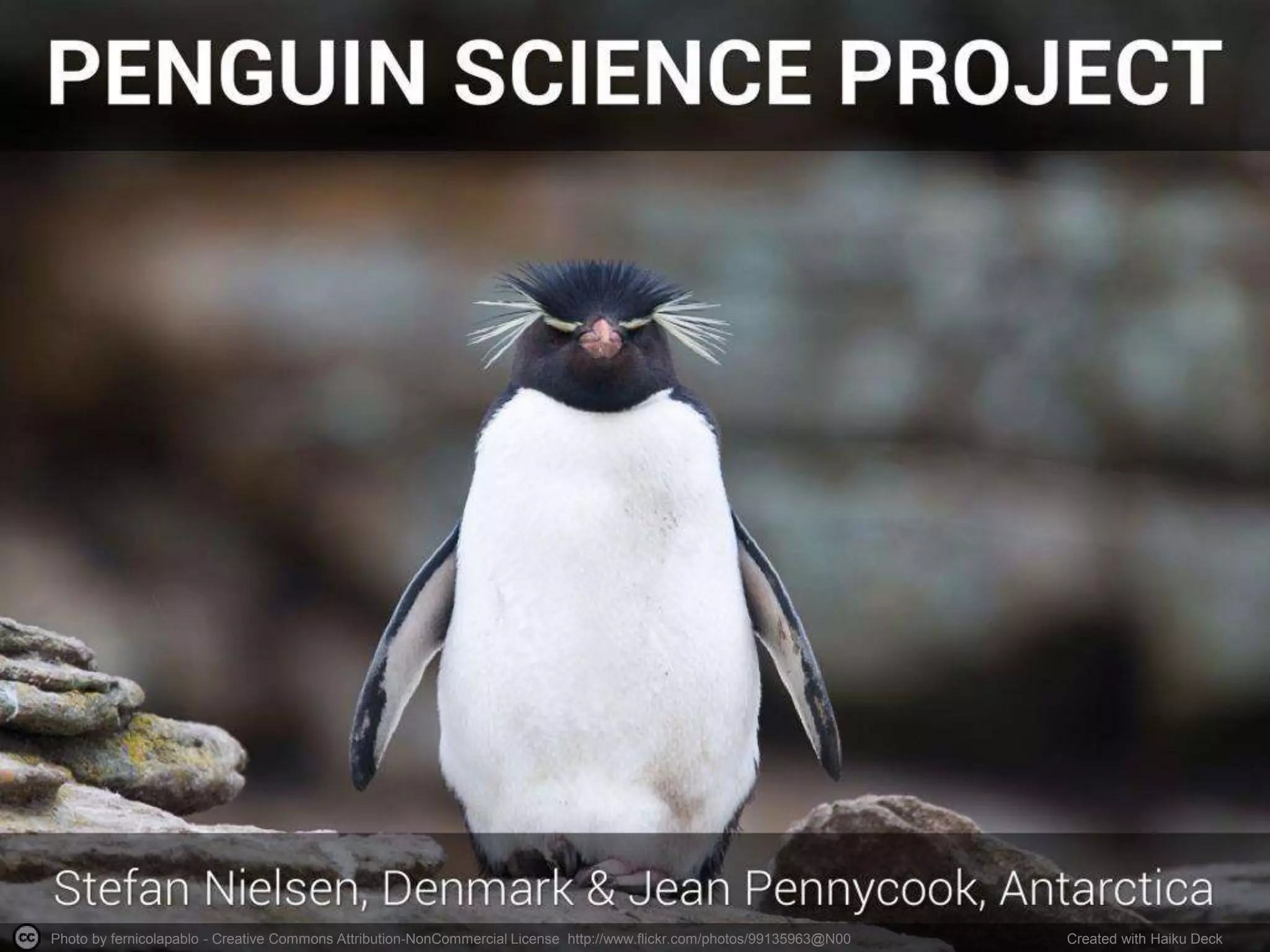 Photo by fernicolapablo - Creative Commons Attribution-NonCommercial License http://www.flickr.com/photos/99135963@N00 Created with Haiku Deck 
 