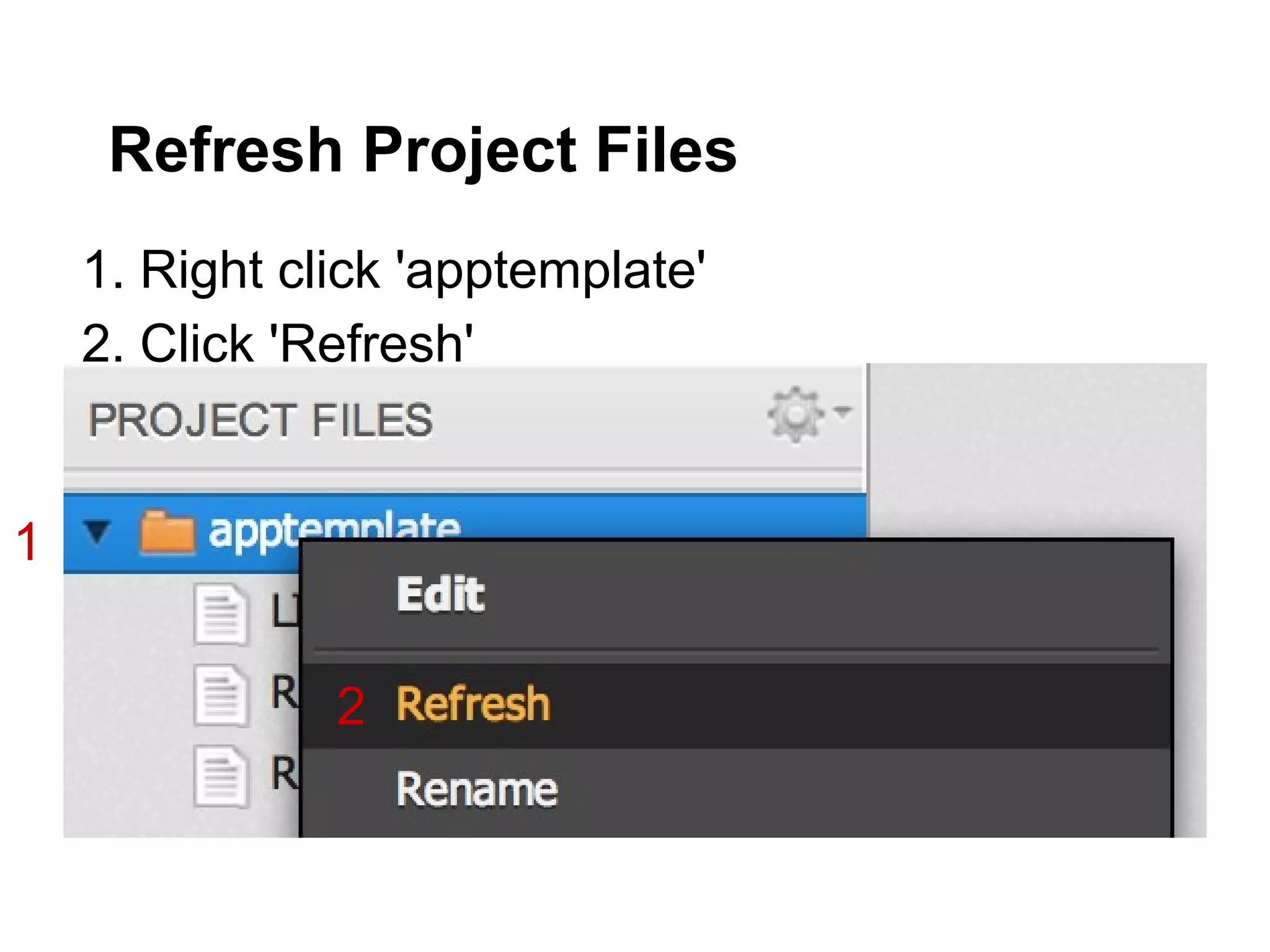 Refresh Project Files
    1. Right click 'apptemplate'
    2. Click 'Refresh'


1


               2
 