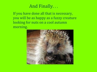 And Finally. . .
If you have done all that is necessary,
you will be as happy as a fuzzy creature
looking for nuts on a cool autumn
morning.
 