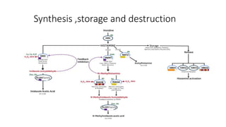 AUTOCOIDS :HISTAMINE BRADYKININ LIPID-DERIVED AUTACOIDS: EICOSANOIDS ...
