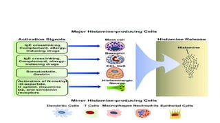 AUTOCOIDS :HISTAMINE BRADYKININ LIPID-DERIVED AUTACOIDS: EICOSANOIDS ...