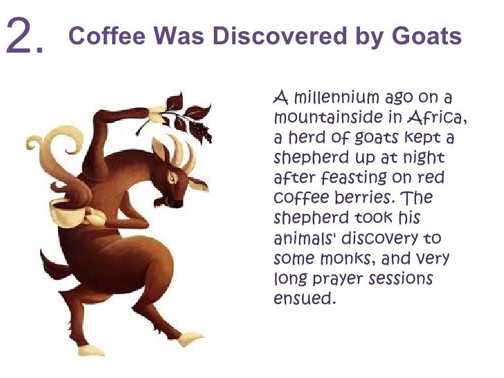 Equinox Editorial 7 Things You Don T Know About Coffee