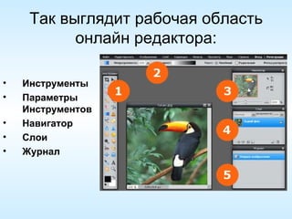 Так выглядит рабочая область онлайн редактора: Инструменты   Параметры Инструментов   Навигатор   Слои   Журнал 