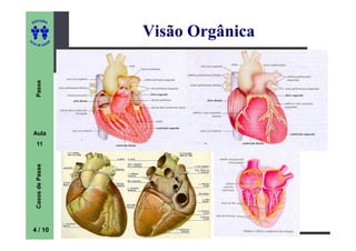 ITORA
    ED




UT
                          Visão Orgânica
                      A
A




  A D E S OU Z
     Passe




    Aula
     11
     Casos de Passe




    4 / 10
 