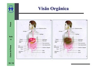 ITORA
    ED




UT
                          Visão Orgânica
                      A
A




  A D E S OU Z
     Passe




    Aula
     11
     Casos de Passe




10 / 10
 