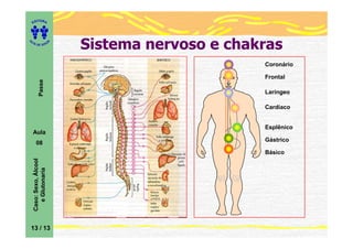 ITORA
    ED




UT

                         A   Sistema nervoso e chakras
A




  A D E S OU Z




                                                   Coronário

                                                   Frontal
           Passe




                                                   Laríngeo

                                                   Cardíaco


                                                   Esplênico
    Aula
                                                   Gástrico
       08
                                                   Básico
    Caso: Sexo, Álcool
       e Glutonaria




13 / 13
 
