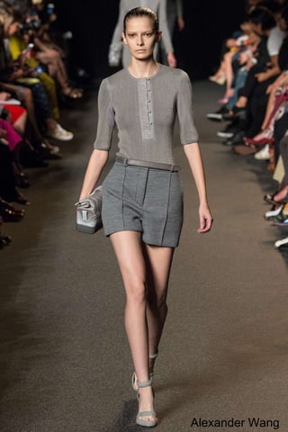 Alexander Wang 
 