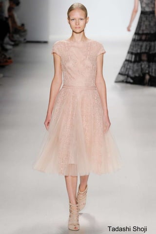 Tadashi Shoji 
 