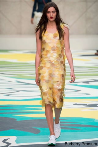 Burberry Prorsum 
 