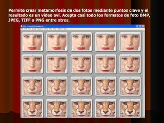Permite crear metamorfosis de dos fotos mediante puntos clave y el
resultado es un video avi. Acepta casi todo los formatos de foto BMP,
JPEG, TIFF o PNG entre otros.
 