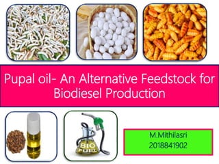 Pupal oil- An Alternative Feedstock for
Biodiesel Production
M.Mithilasri
2018841902
 