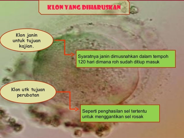 Hukum forex dalam islam jakim