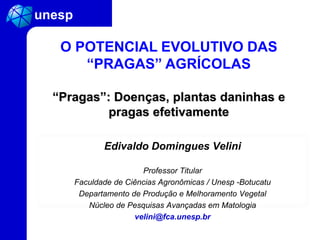 Edivaldo Domingues Velini
Professor Titular
Faculdade de Ciências Agronômicas / Unesp -Botucatu
Departamento de Produção e Melhoramento Vegetal
Núcleo de Pesquisas Avançadas em Matologia
velini@fca.unesp.br
O POTENCIAL EVOLUTIVO DAS
“PRAGAS” AGRÍCOLAS
“Pragas”: Doenças, plantas daninhas e
pragas efetivamente
 