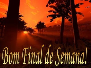 Bom Final de Semana! 