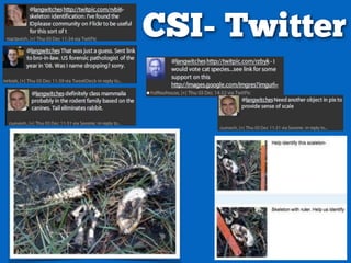 CSI- Twitter
 