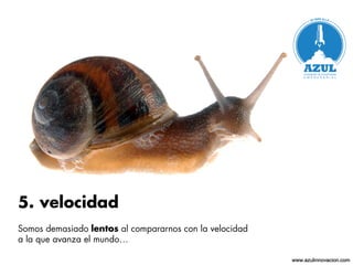 www.azulinnovacion.com
 
