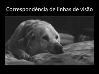 Correspondência de linhas de visão
 