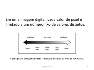 Em uma imagem digital, cada valor de pixel é
limitado a um número fixo de valores distintos.
A cena possui uma gama de tons – intervalo de cinzas ou nível de luminância.
75Digital Cinema 1
 