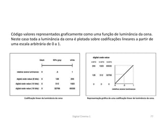 Representação gráfica de uma codificação linear de luminância da cena.Codificação linear da luminância da cena
Código valores representados graficamente como uma função de luminância da cena.
Neste caso toda a luminância da cena é plotada sobre codificações lineares a partir de
uma escala arbitrária de 0 a 1.
77Digital Cinema 1
 