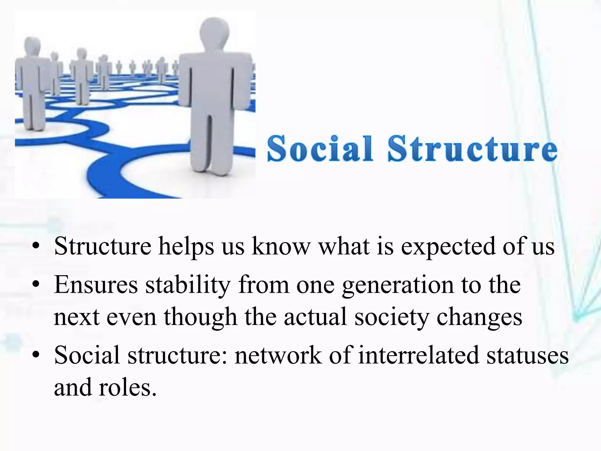 social structure