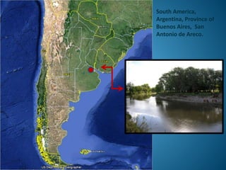 South America,
Argentina, Province of
Buenos Aires, San
Antonio de Areco.
 