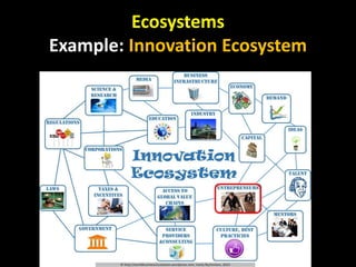 Ecosystems
Example: Innovation Ecosystem
 