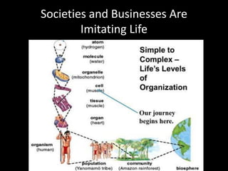Societies and Businesses Are
Imitating Life
 