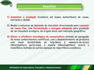 1) Aumentar a produção brasileira em bases sustentáveis de cacau,
borracha e dendê.
2) Mudar a natureza da demanda de chocolate direcionando para consumir
um cacau fino, com fermentação e secagem adequada para produção
de um chocolate ecológico, de origem única com indicação geográfica.
3) Elevar a eficiência tecnológica da cacauicultura através da agregação
de novos conhecimentos científicos, com o desenvolvimento de produtos
com maior durabilidade de tolerância à vassoura-de-bruxa
(Moniliophtora perniciosa), à monília (Moniliophthora roreri) e
resistência múltipla às outras doenças de importância econômica.
Desafios
 