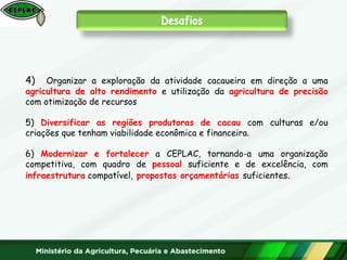 4) Organizar a exploração da atividade cacaueira em direção a uma
agricultura de alto rendimento e utilização da agricultura de precisão
com otimização de recursos
5) Diversificar as regiões produtoras de cacau com culturas e/ou
criações que tenham viabilidade econômica e financeira.
6) Modernizar e fortalecer a CEPLAC, tornando-a uma organização
competitiva, com quadro de pessoal suficiente e de excelência, com
infraestrutura compatível, propostas orçamentárias suficientes.
 