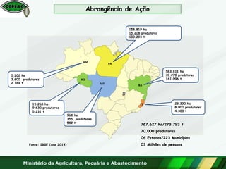 767.627 ha/273.793 t
70.000 produtores
06 Estados/223 Municípios
03 Milhões de pessoas
15.268 ha
9.630 produtores
5.231 t
RO
MT
PA
BA
ES
DF
5.202 ha
3.600 produtores
2.169 t
AM
158.819 ha
15.208 produtores
100.293 t
968 ha
355 produtores
582 t
563.811 ha
39.270 produtores
161.096 t
23.330 ha
8.000 produtores
4.300 t
Fonte: IBGE (Ano 2014)
Abrangência de Ação
 