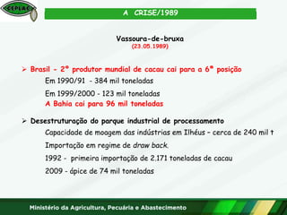 Vassoura-de-bruxa
(23.05.1989)
 Brasil - 2º produtor mundial de cacau cai para a 6ª posição
Em 1990/91 - 384 mil toneladas
Em 1999/2000 - 123 mil toneladas
A Bahia cai para 96 mil toneladas
 Desestruturação do parque industrial de processamento
Capacidade de moagem das indústrias em Ilhéus – cerca de 240 mil t
Importação em regime de draw back.
1992 - primeira importação de 2.171 toneladas de cacau
2009 - ápice de 74 mil toneladas
A CRISE/1989
 