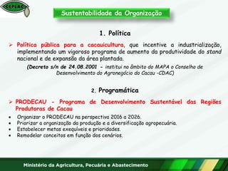 1. Política
 Política pública para a cacauicultura, que incentive a industrialização,
implementando um vigoroso programa de aumento da produtividade do stand
nacional e de expansão da área plantada.
(Decreto s/n de 24.08.2001 - institui no âmbito do MAPA o Conselho de
Desenvolvimento do Agronegócio do Cacau -CDAC)
2. Programática
 PRODECAU - Programa de Desenvolvimento Sustentável das Regiões
Produtoras de Cacau
 Organizar o PRODECAU na perspectiva 2016 a 2026.
 Priorizar a organização da produção e a diversificação agropecuária.
 Estabelecer metas exequíveis e prioridades.
 Remodelar conceitos em função dos cenários.
Sustentabilidade da Organização
 