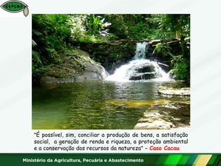 “É possível, sim, conciliar a produção de bens, a satisfação
social, a geração de renda e riqueza, a proteção ambiental
e a conservação dos recursos da natureza” – Caso Cacau
 