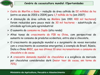 Costa do Marfim e Gana – redução da área colhida de 02 milhões de ha
(entre os anos de 2003 e 2004) para 1,7 milhão de ha (em 2007)
 A diminuição da área colhida na Malásia (em 1991 400 mil hectares)
foram reduzidos para pouco mais de 30 mil hectares - substituição da
atividade agrícola pela agroindustrial
 O aumento do consumo no Japão (alta renda)
 Altas taxas de crescimento do PIB na China, com perspectivas de
aumento no consumo de produtos ocidentais, entre eles o chocolate.
 O crescimento da população mundial e o surgimento de novos mercados
com o crescimento de economias emergentes, a exemplo do Brasil, Rússia,
Índia e China-BRIC, que nos últimos 10 anos incrementaram o consumo de
chocolate e de cacau
 A crescente demanda mundial de chocolates e a exigência do mercado
por chocolates considerados dark (maior teor de cacau, em torno de
70%)
Cenário da cacauicultura mundial /Oportunidades
 