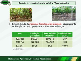 Cenário da cacauicultura brasileira /Oportunidades
Ano Produção
(toneladas)
Área colhida
(hectares)
Produtividade
(kg/ha)
2003 (a) 170.004 590.945 287
2016 (b) 272.980 676.902 403
b/a (%) 60,05 14,5 40,04
 Disponibilidade de modernas tecnologias de produção, especialmente
a utilização de clones produtivos e tolerantes a doenças.
Fonte: IBGE/SIDRA
 