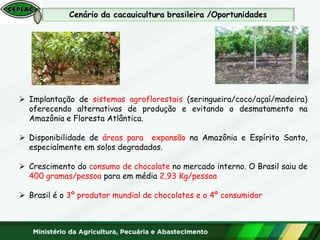  Implantação de sistemas agroflorestais (seringueira/coco/açaí/madeira)
oferecendo alternativas de produção e evitando o desmatamento na
Amazônia e Floresta Atlântica.
 Disponibilidade de áreas para expansão na Amazônia e Espírito Santo,
especialmente em solos degradados.
 Crescimento do consumo de chocolate no mercado interno. O Brasil saiu de
400 gramas/pessoa para em média 2,93 Kg/pessoa
 Brasil é o 3º produtor mundial de chocolates e o 4º consumidor
 