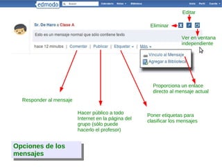 Datos que aparecen en el perfil del profesor 