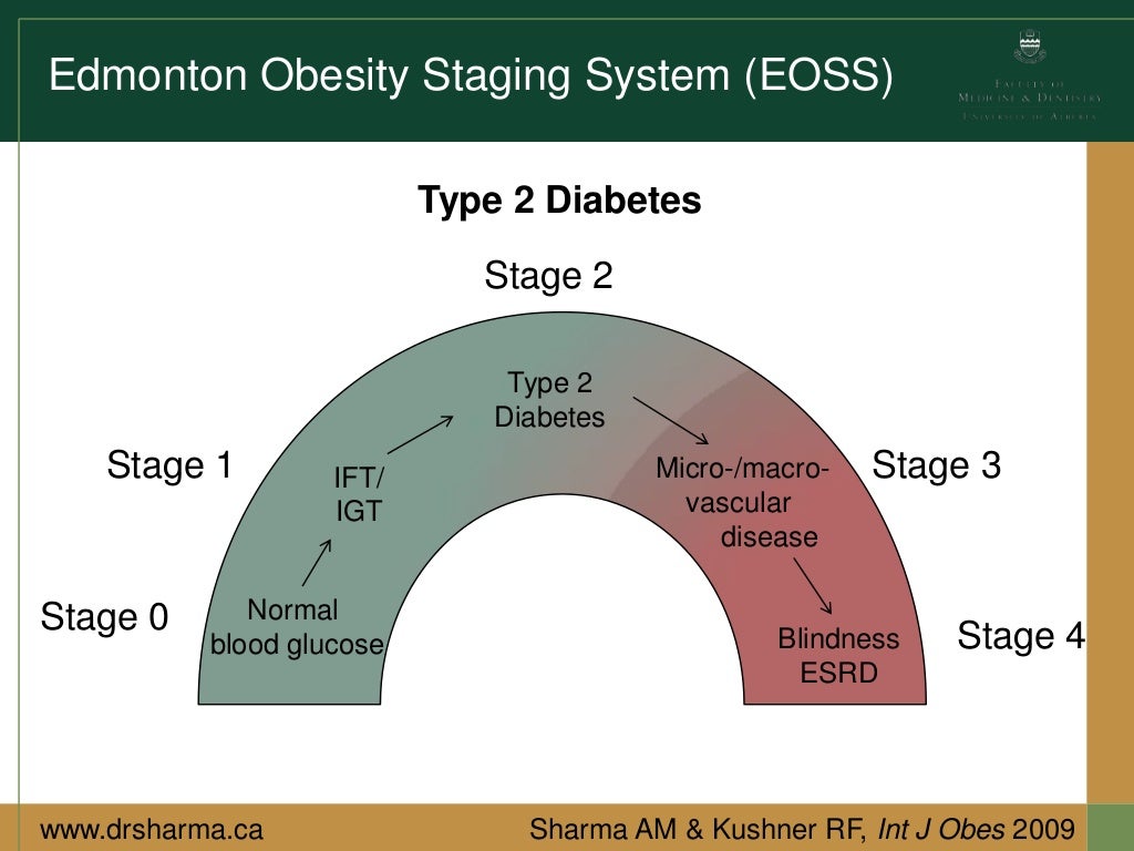Edmonton obesity staging system
