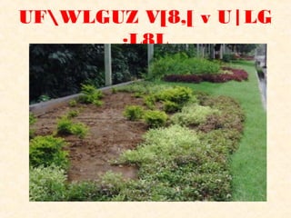 UFWLGUZ V[8,[ v U|LG
       ;L8L
 