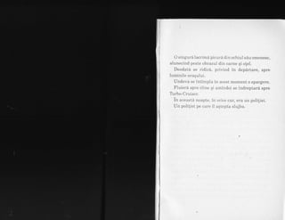 O singurA lacrima picura clin ochiul sau omenesc,
aiunecind peste obrazul din carne qi olel.
Deodata se riclicA, privir-rd in departare, spre
luminile orasului.
IJndeva se intimpla in acest moment o spargere.
Fluiera spre ciine qi amindoi se indreptard spre
T:rbo-Cruiser.
in aceastA noapte, in orice caz, eraun polilist.
Un polilist pe cale il aqtepta slujba.
 