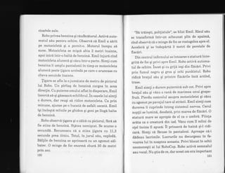cioaiele sale.
Robo priveabenzina qi rdufdcitorul. Activd auto-
matul sdu pentru ochire. Observd c6 Emil a sdrit
pe motocicietd qi a pornit-o. Motorul incepu s6
sune. Motocicleta se miqca abia 2 metri inainte,
apoi intrd intr-o baltd de benzin6. Emil injuri cind
motocicleta alunecd qi cizu intr-o parte. Sim[i cum
benzina ii umplu pantaionii in timp ce motocicleta
alunecd peste ligara arzindd pe care o aruncase cu
ciieva secuhde inainte.
figara se afla la o jumatate de metru de piciorul
lui Robo. Un piriiaq de benzind curgea in acea
direc{ie. Cu puterea omului aflat in disperare, Emil
incercd sd-qi gdseascd echilibrul. in oasele lui simli
o durere, dar reuqi si ridice motocicleta. Ca prin
minune, ajunse pe o bucata de asfalt uscat6. Emil
iqi incleqtd miinile pe ghidon qi goni pe ling6 balta
de benzinS.
Robo observd ligara qi o c6lca cu piciorul, fara se
fie atins de benzind. Stptea nemiqcat. Se scurse o
secundd. Recunoscu cd a stins ligara cu 11,8
secunde prea tirziu. Totul, in jurul sdu, explod6.
BAI[ile de benzina se aprinserd cu un zgomot s6l-
batec. O minge de foc enormA zburd B0 de metri
prin aer.
150
';Sa trai"gti, polilistule", se hlizi Emil. Risul siu
se transformd intr-un scheunat plin de spaimA,
cind observd c6 o minge de foc se rostogolea spre el'
Accelerd qi se indepdrti 3 metri de peretele de
flac6ri.
Din centrul infernului se intoarse o staturd inrte-
grite de foc qi privi spre EmiI. Robo activi automa-
tul de ochire. incet Ei cu griji ieqi din flacari' Privi
prin fumul negru qi gros gi ochi punkistul' Robo
ridicl bralul siu qi printre flicdrile inci arzind,
trase.
Emil simli o durere puternicd sub cot. Privi spre
bralul sdu qi vizu o rand de marimea unui grape-
fruit. Pierdu controlul asupra motocicletei qi cizu
cu zgomot pe pavajul tare al strdzii. Emil simti cum
durerea ii cuprinde intreg sistemul nervos' Cerul
noplii se lumind, deodat6, prin marea de fldcdri' O
staturd mare se apropie de el ca o umbr6' Fiinla
arata ca o creaturi din iad. Vizu cum 2 miini de
olel incins iI apuc6. il prinserd de haini qi-l ridi-
card. Simli cd ficuse in pantaloni. Aproape cd'-i
dddeau lacrimile. Lucrurile nu decurgeau in fa-
voarea lui in noaptea aceasta. Privi blocat in ochii
neomeneqti ai lui RoboCop. Robo activd semnalul
sau vocal. Nu qtia de ce, dar acest om era important
151
 