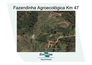 Fazendinha Agroecológica Km 47
 