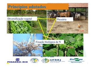 PecuáriaPecuáriaDiversificação vegetalDiversificação vegetal
Princípios adotados
Fixação biológica de NFixação biológica de N
 