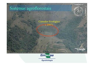 Corredor Ecológico
( 2007)
Sistemas agroflorestais
 