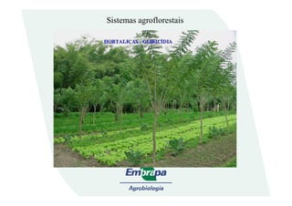 Sistemas agroflorestais
 