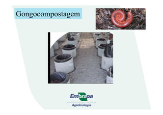 Gongocompostagem
 
