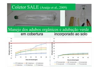 Coletor SALE (Araújo et al., 2009)
Manejo dos adubos orgânicos e adubação verde
 