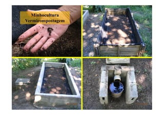 Minhocultura
Vermicompostagem
 