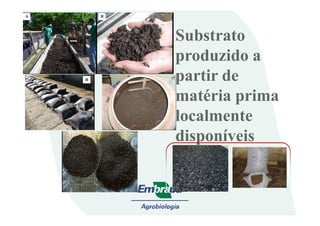 Substrato
produzido a
partir de
matéria prima
localmentelocalmente
disponíveis
 